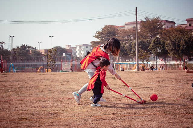 中国的冰球 中国的冰球