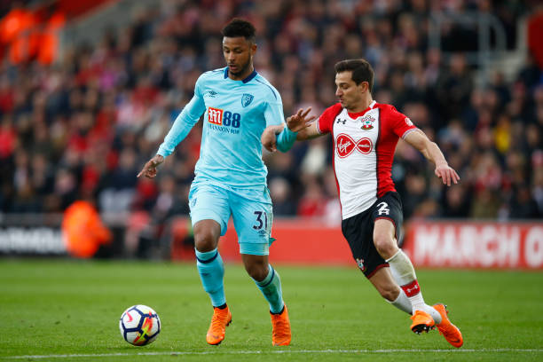 坛的常青树 坛的常青树